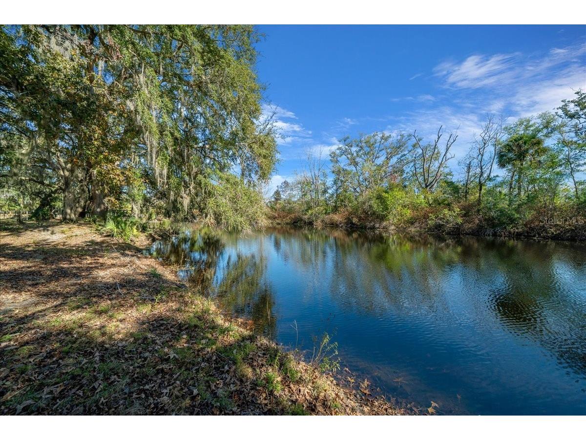 16731 SE 181st Terrace Weirsdale FL 32195 OM716842 image42
