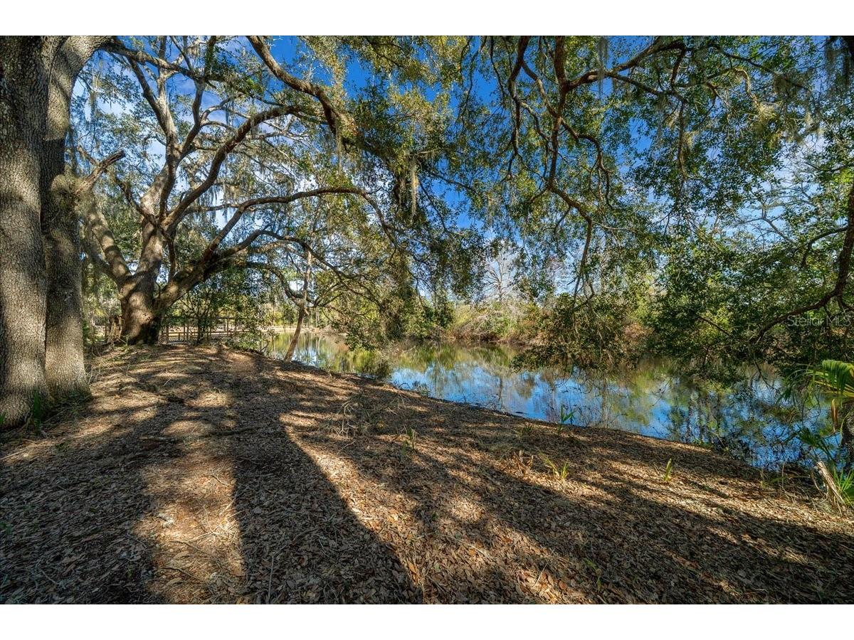 16731 SE 181st Terrace Weirsdale FL 32195 OM716842 image43