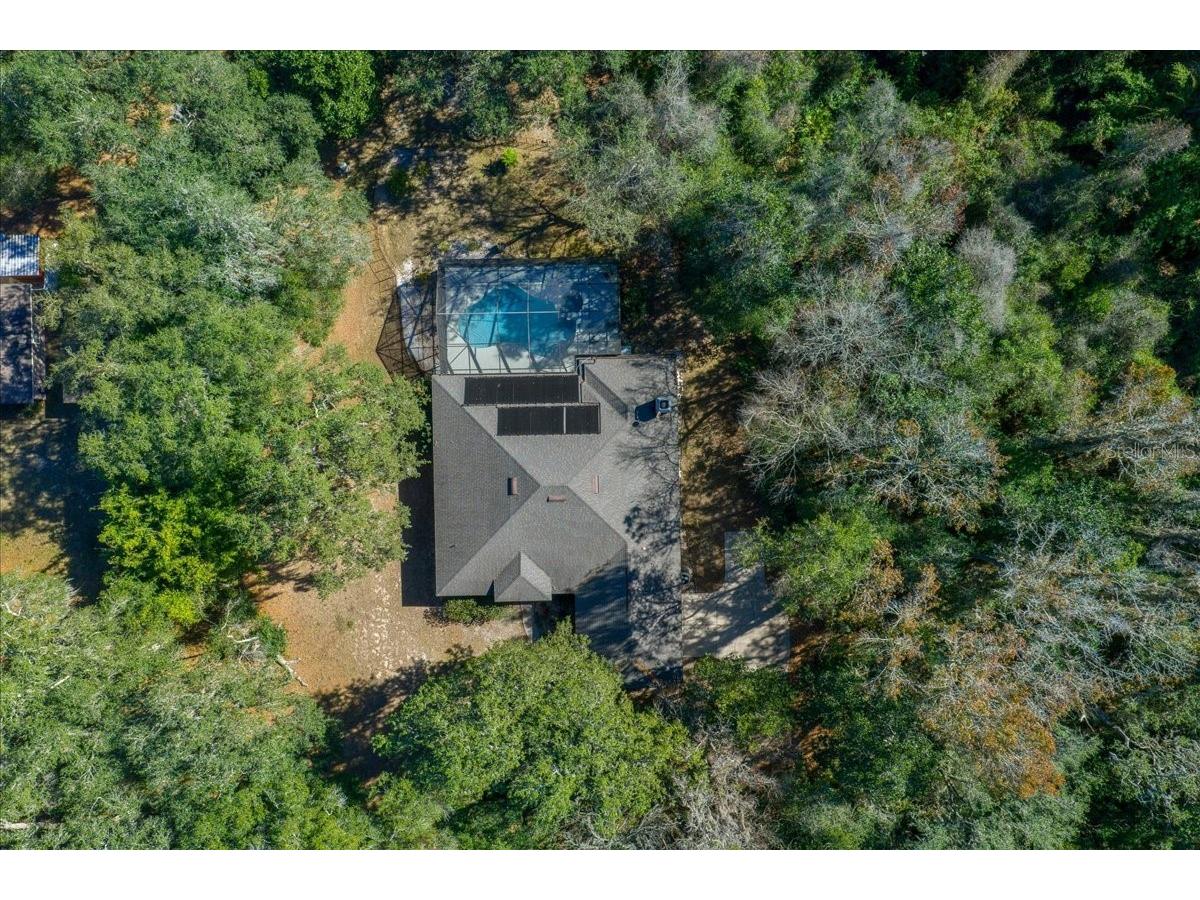 16731 SE 181st Terrace Weirsdale FL 32195 OM716842 image45