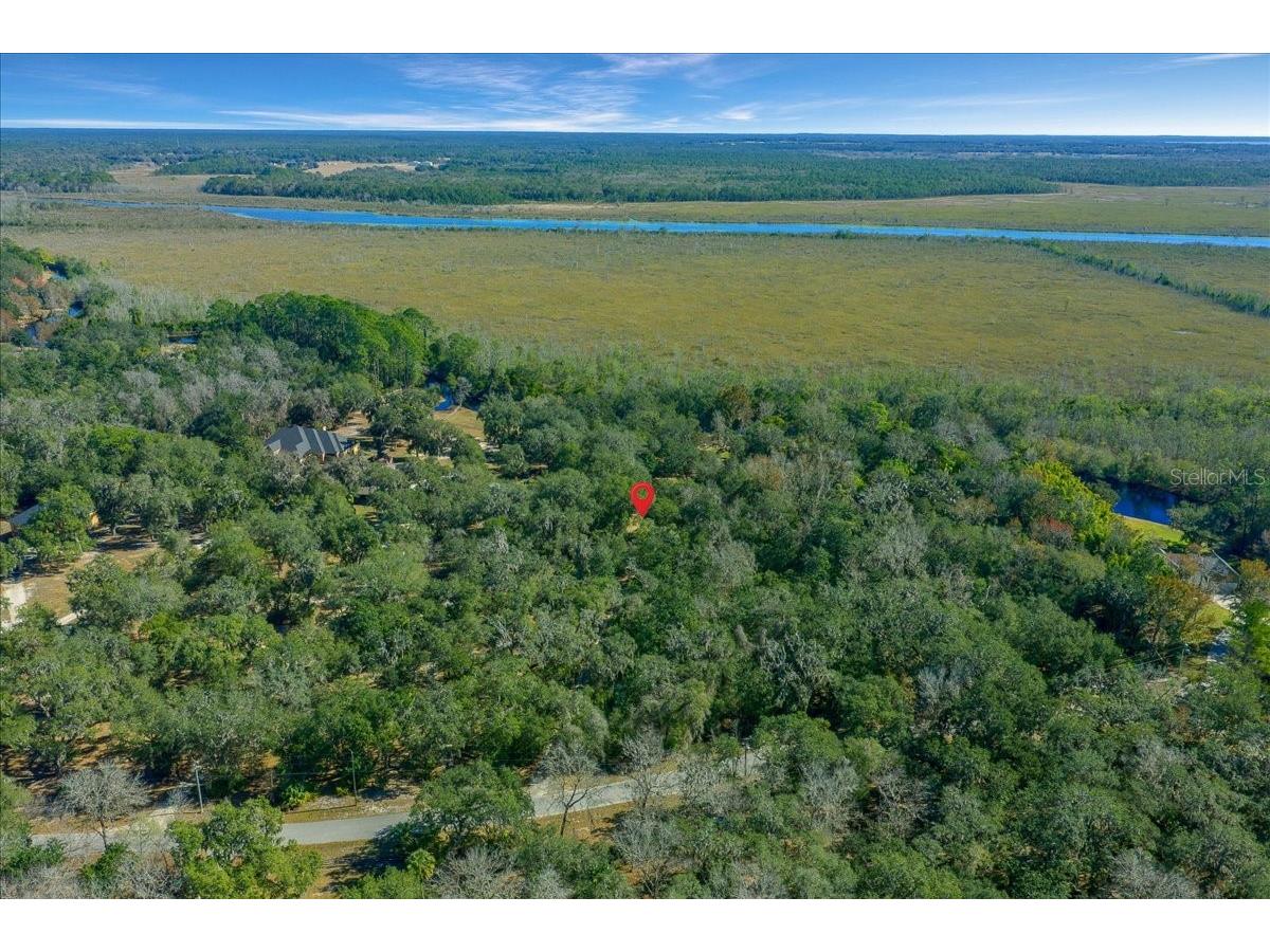 16731 SE 181st Terrace Weirsdale FL 32195 OM716842 image46
