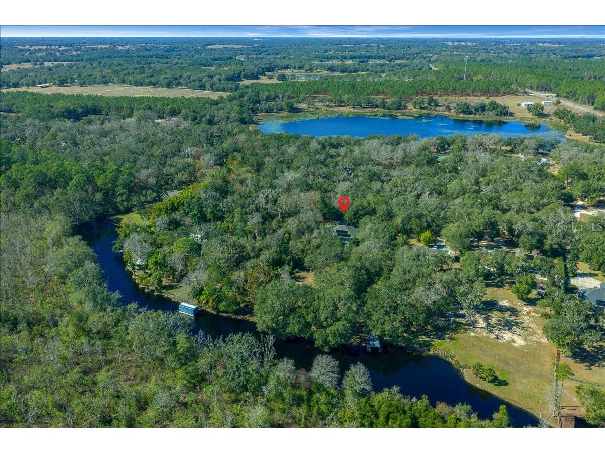 16731 SE 181st Terrace Weirsdale FL 32195 OM716842 image47