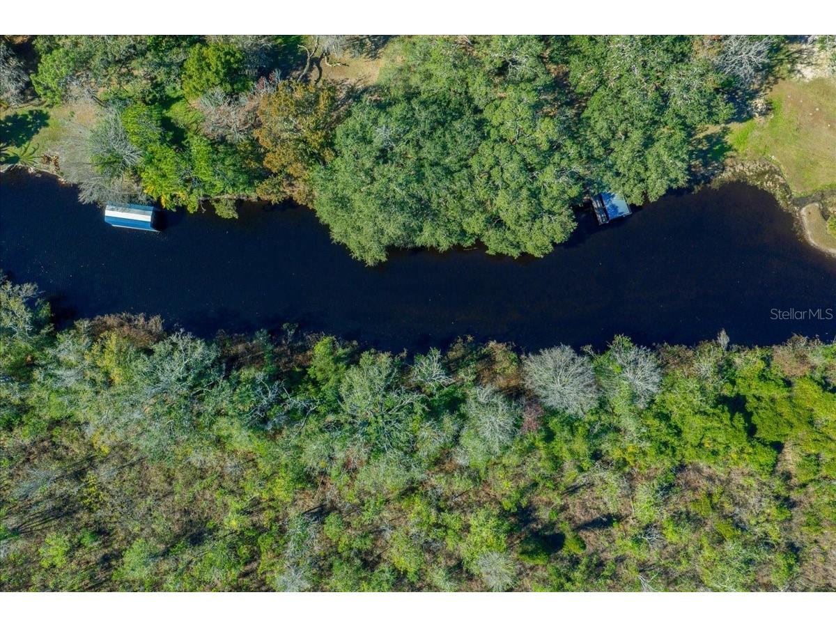 16731 SE 181st Terrace Weirsdale FL 32195 OM716842 image50