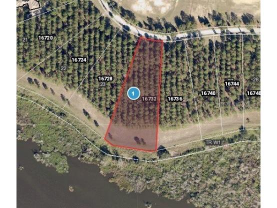 16732 Artimino Loop Montverde FL 34756 - LAKE APOPKA G5071530 image1