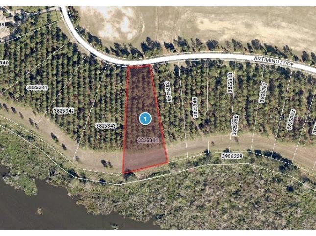 16736 Artimino Loop Montverde FL 34756 - LAKE APOPKA & LAKE SIENA G5074539 image1