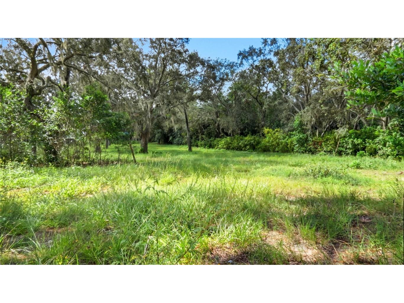 16736 Dalberg Drive Spring Hill FL 34610 A4666732 image29