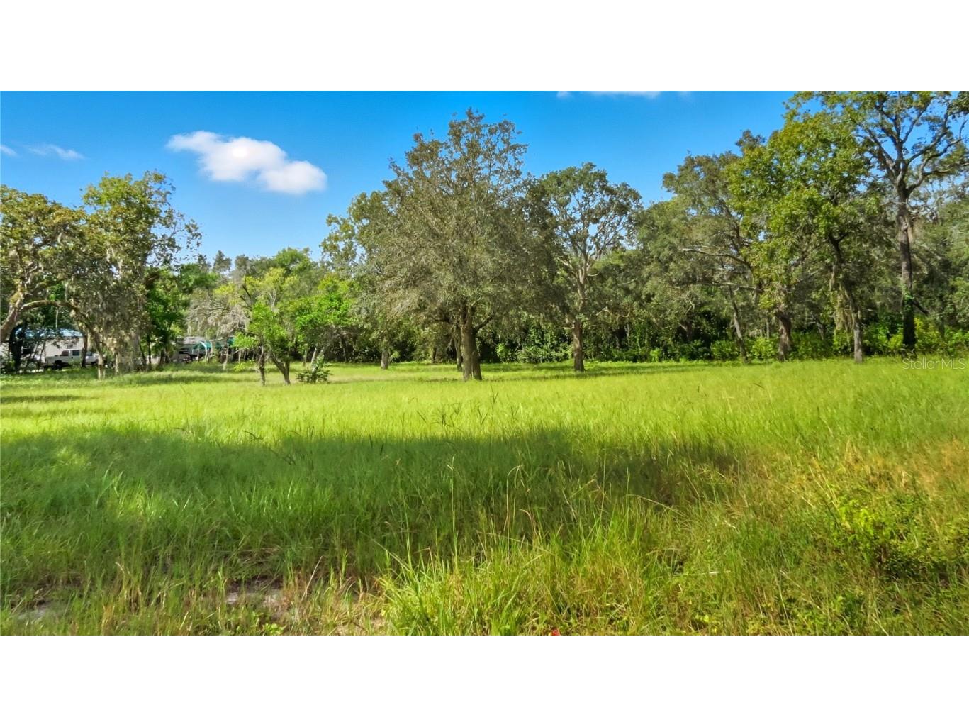 16736 Dalberg Drive Spring Hill FL 34610 A4666732 image33