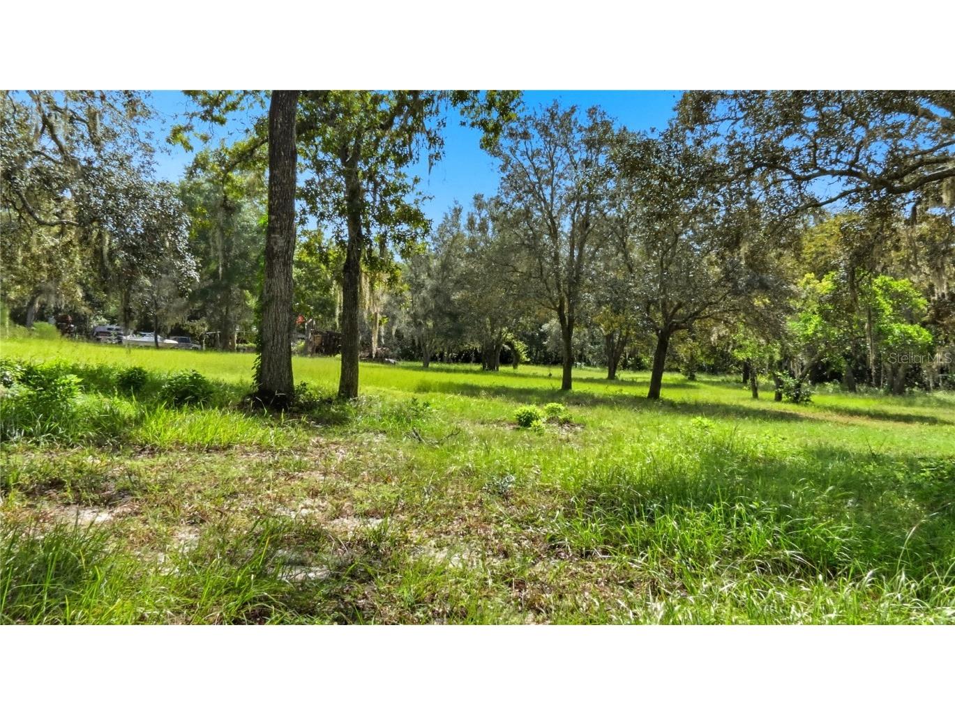 16736 Dalberg Drive Spring Hill FL 34610 A4666732 image34