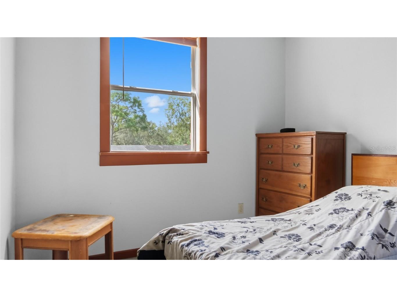 16736 Dalberg Drive Spring Hill FL 34610 A4666732 image8