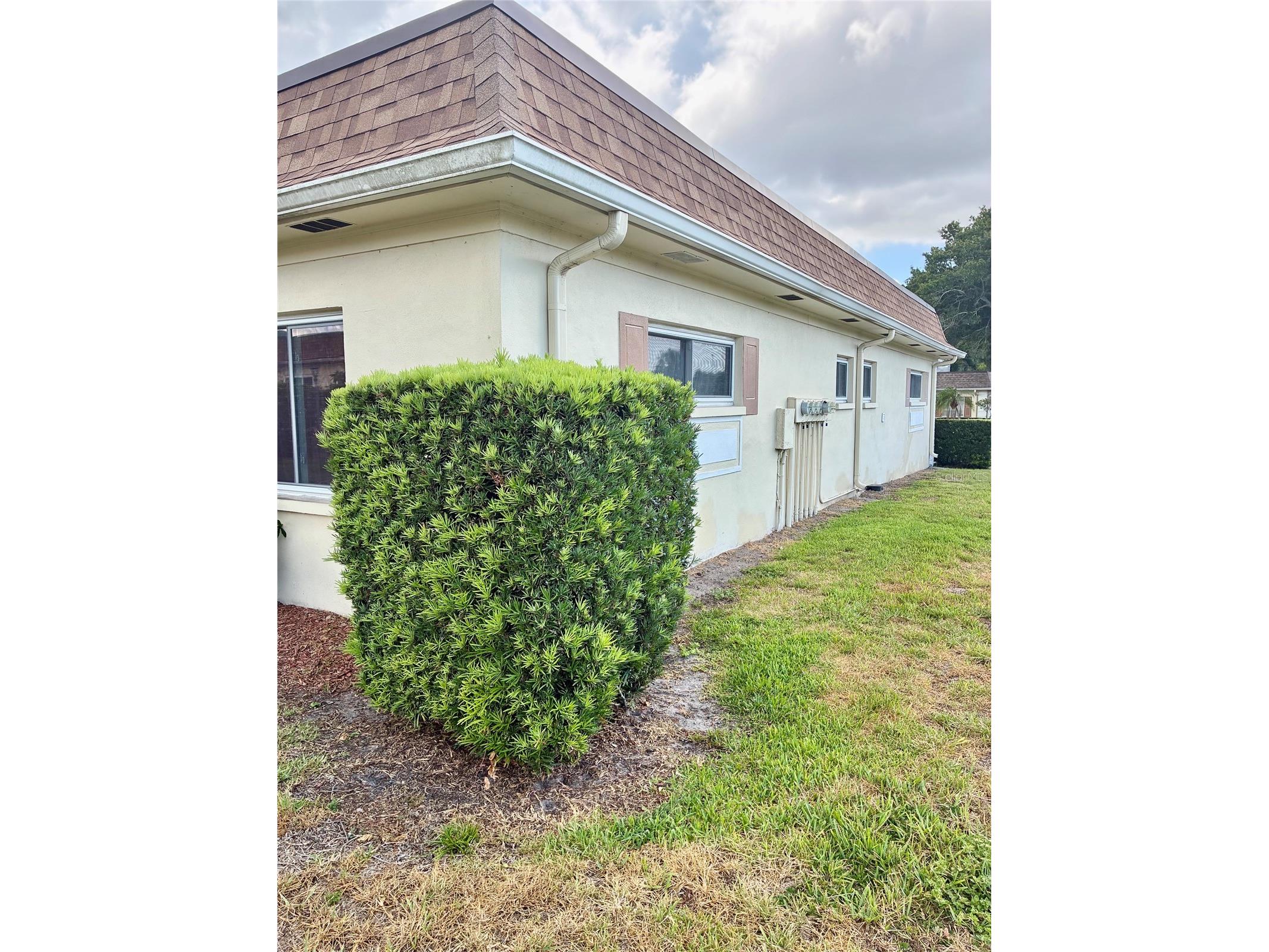 1674 S Lake Avenue #6 Clearwater FL 33756 TB8523298 image26