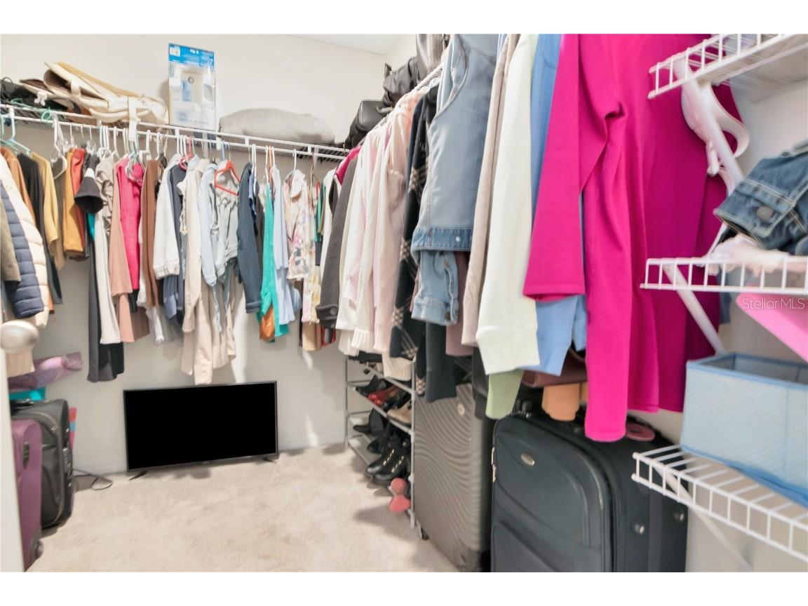 16742 Sunburst Lake Street Wimauma FL 33598 A4669159 image20