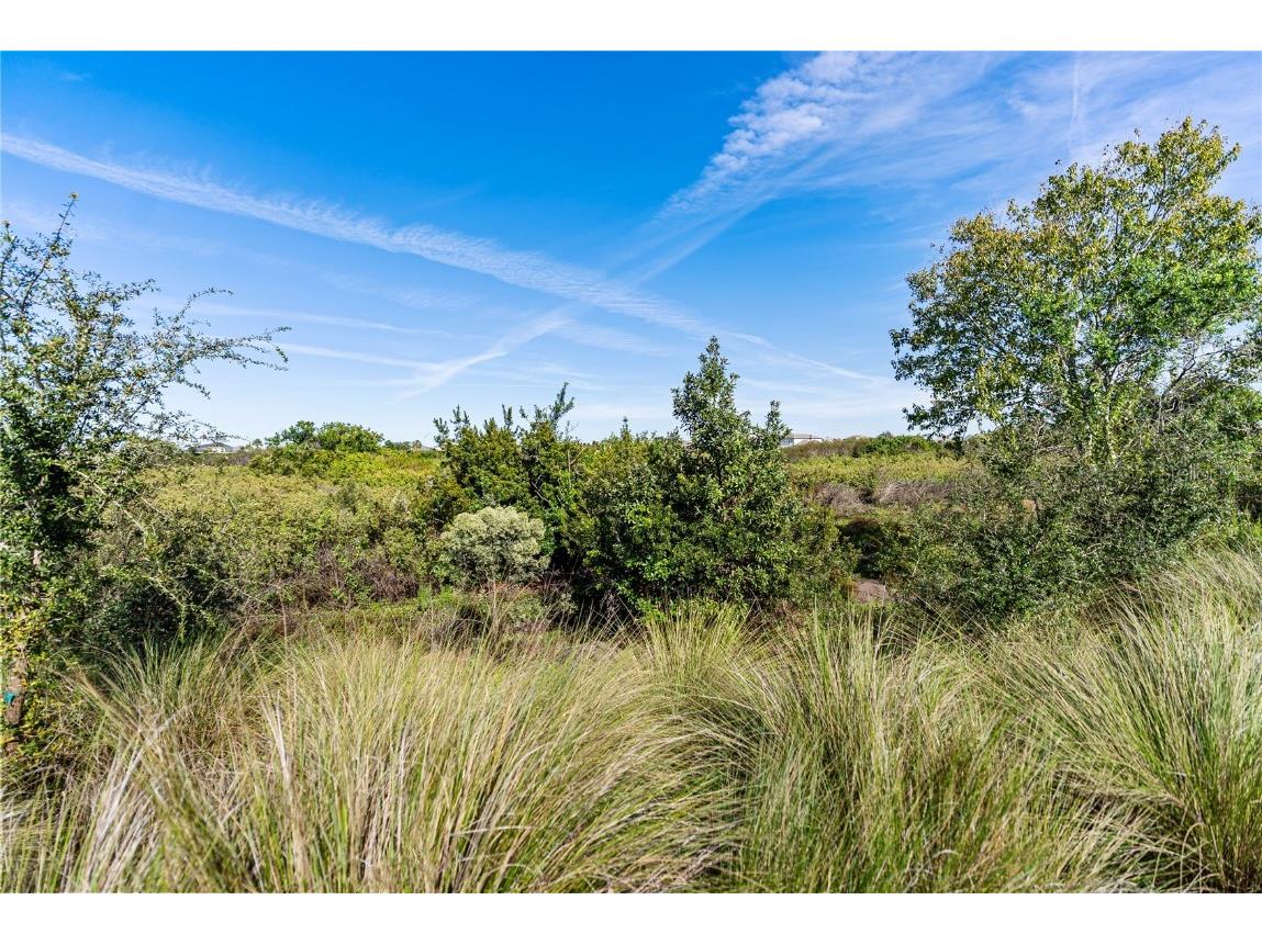 16743 Seraphic Trail Bradenton FL 34211 A4672192 image75