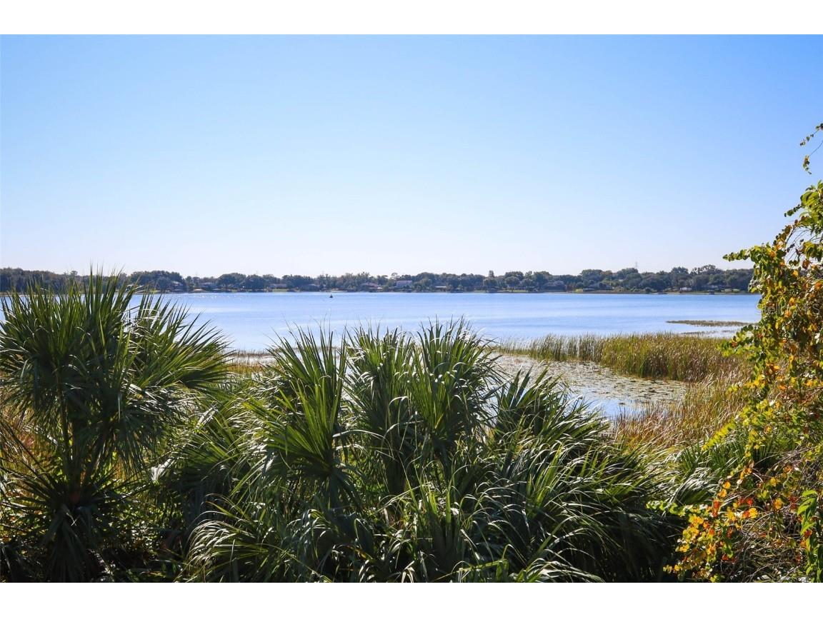 16748 Abbey Hill Court Clermont FL 34711 O6361692 image39