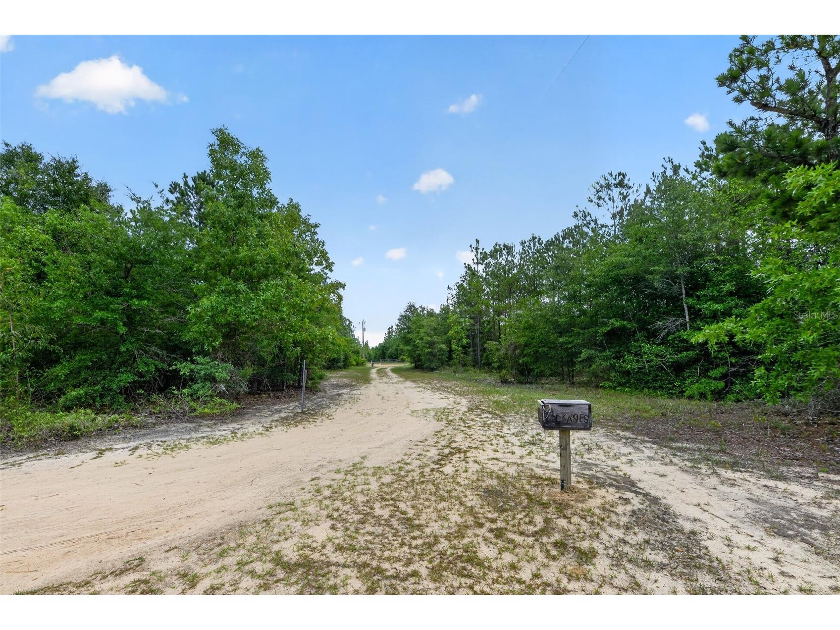 1675 Aspalaga Road Quincy FL 32351 TB8527573 image42