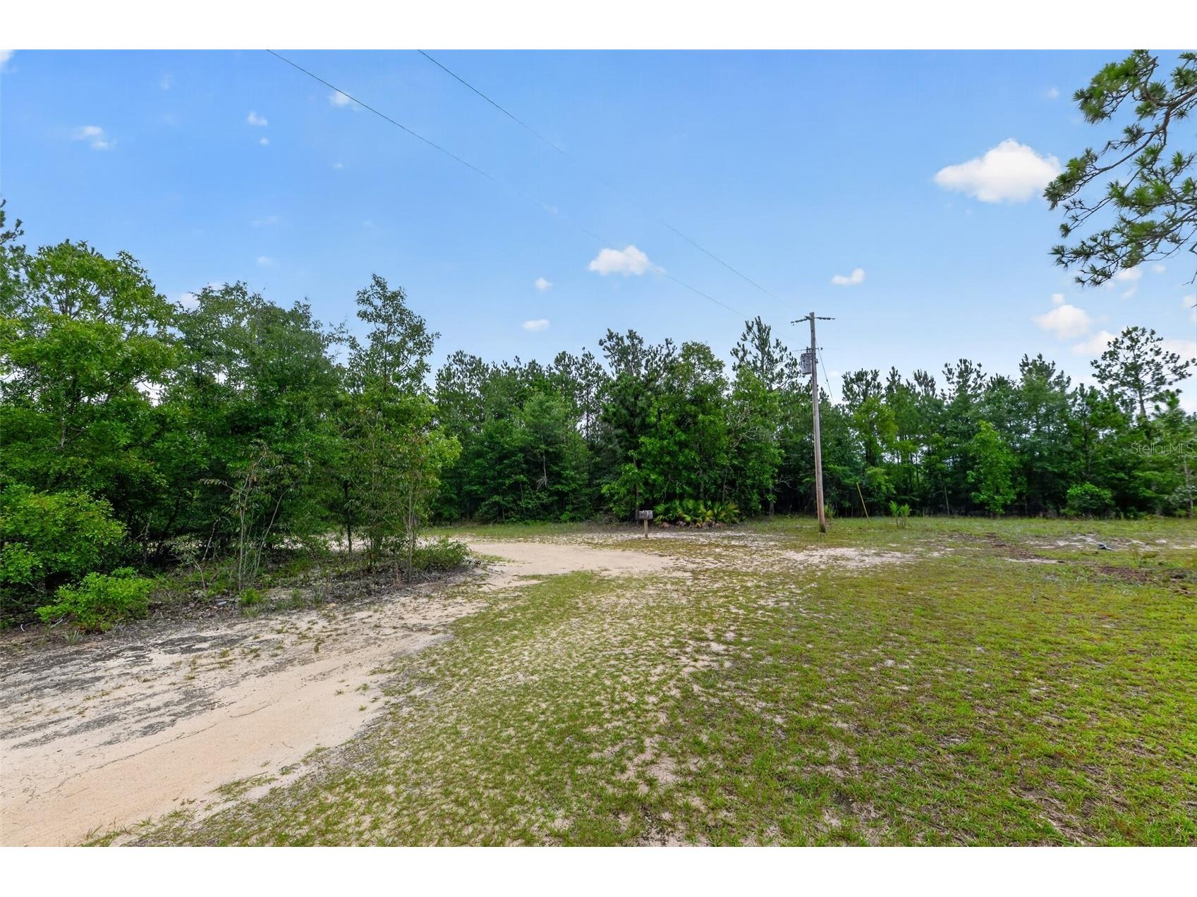 1675 Aspalaga Road Quincy FL 32351 TB8527573 image43