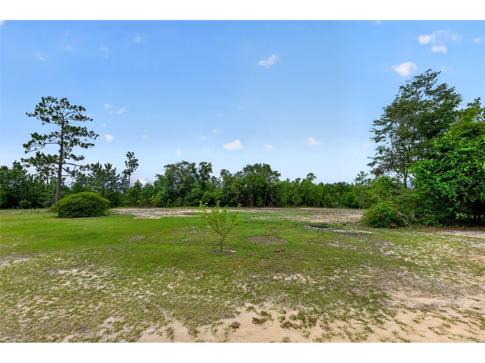 1675 Aspalaga Road Quincy FL 32351 TB8527573 image44