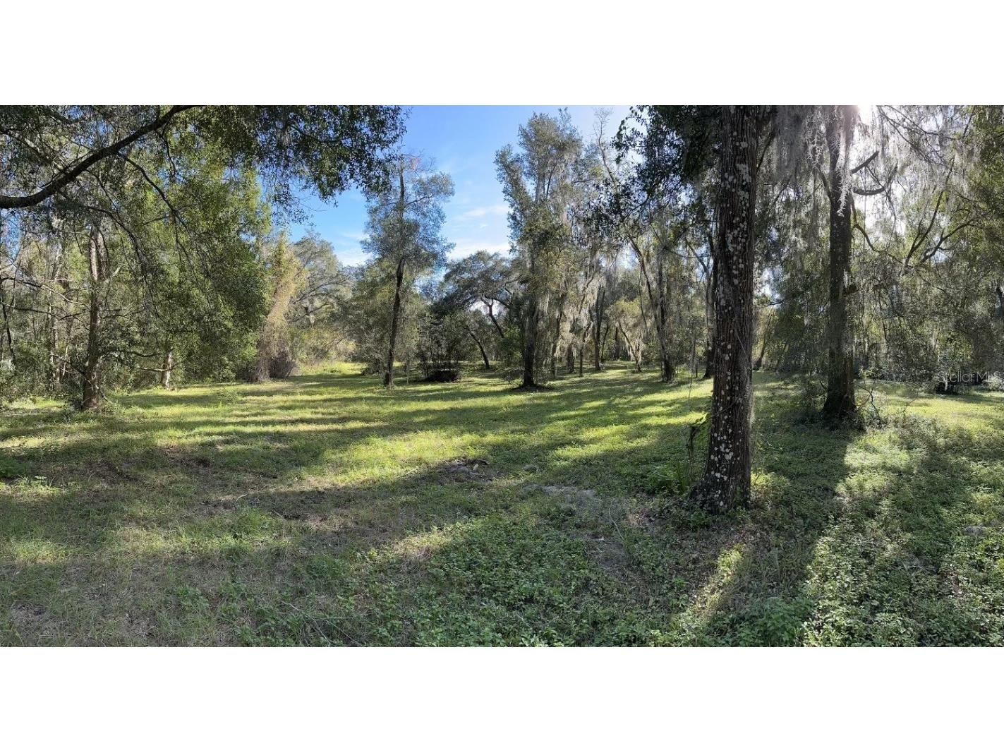 1675 Weaver Oak Way Deland FL 32720 V4933248 image1