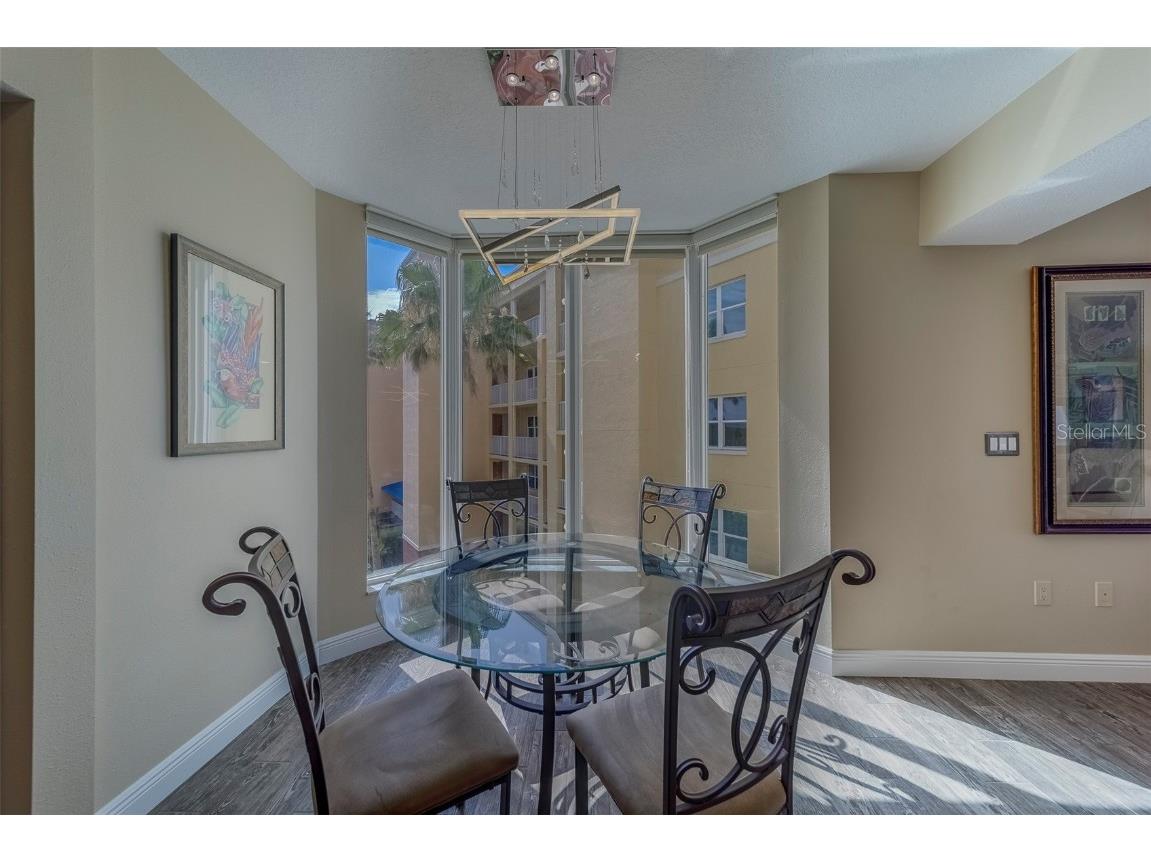 16750 Gulf Boulevard #411 North Redington Beach FL 33708 TB8393567 image10