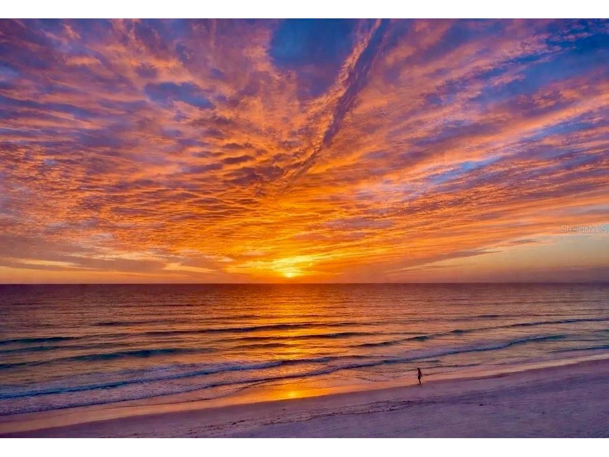 16750 Gulf Boulevard #414 North Redington Beach FL 33708 TB8490866 image3