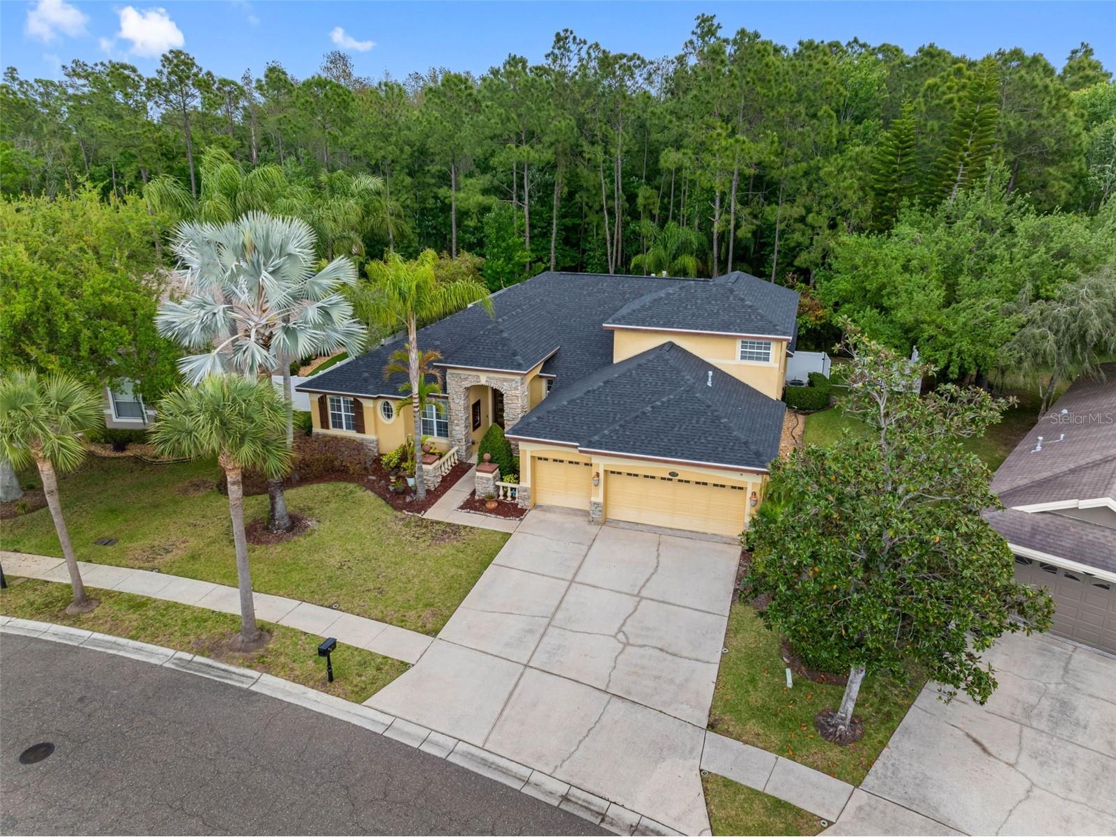 16750 Ivy Lake Drive Odessa FL 33556 TB8491529 image1