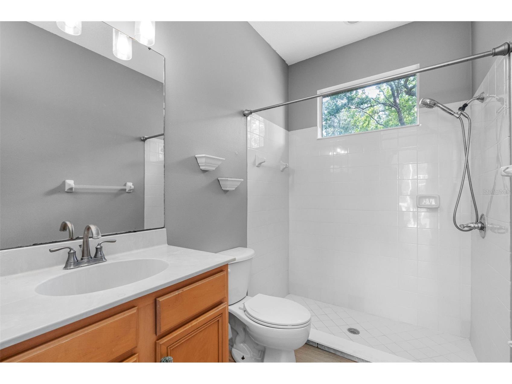 16750 Ivy Lake Drive Odessa FL 33556 TB8491529 image21