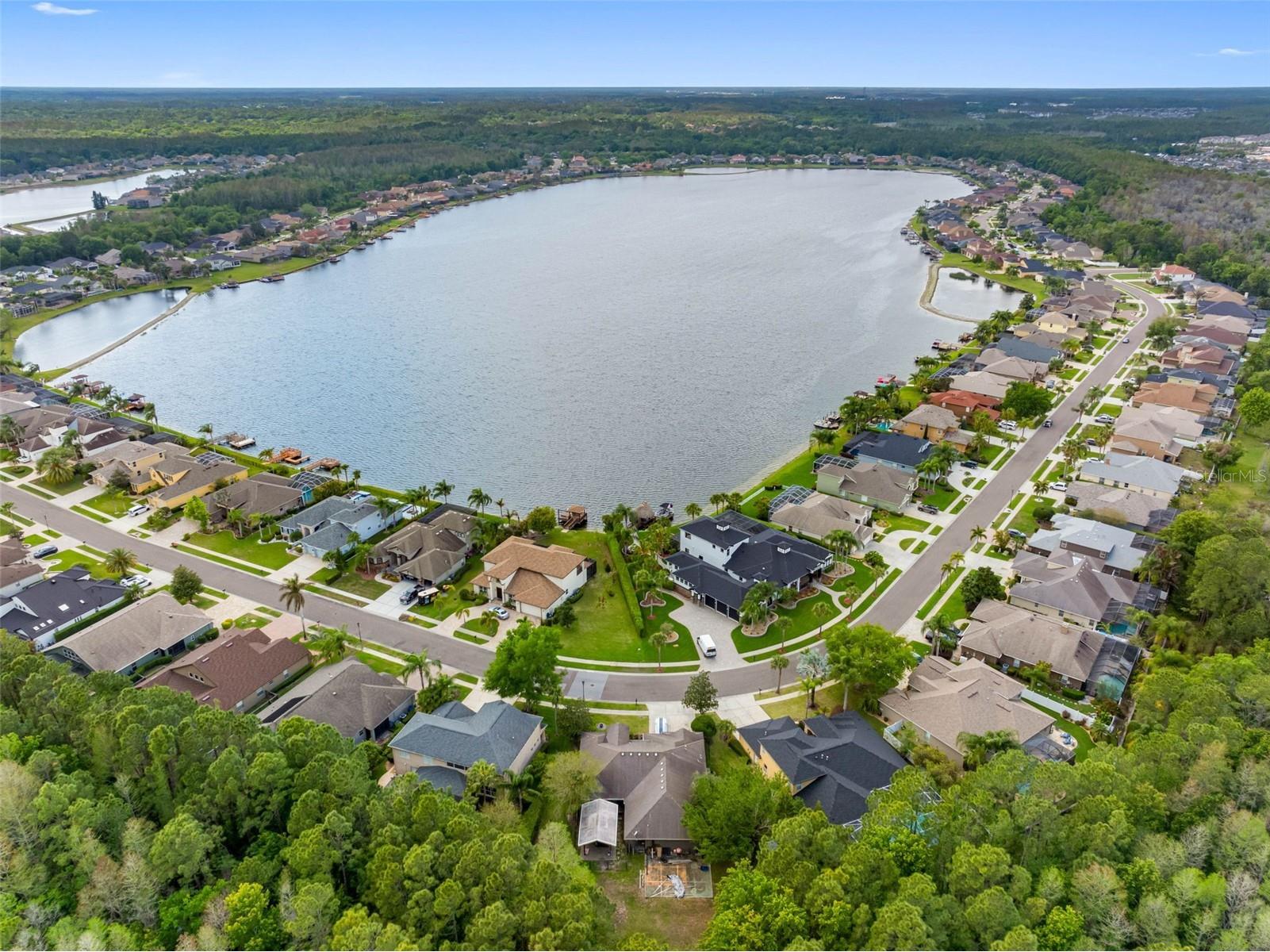16750 Ivy Lake Drive Odessa FL 33556 TB8491529 image39