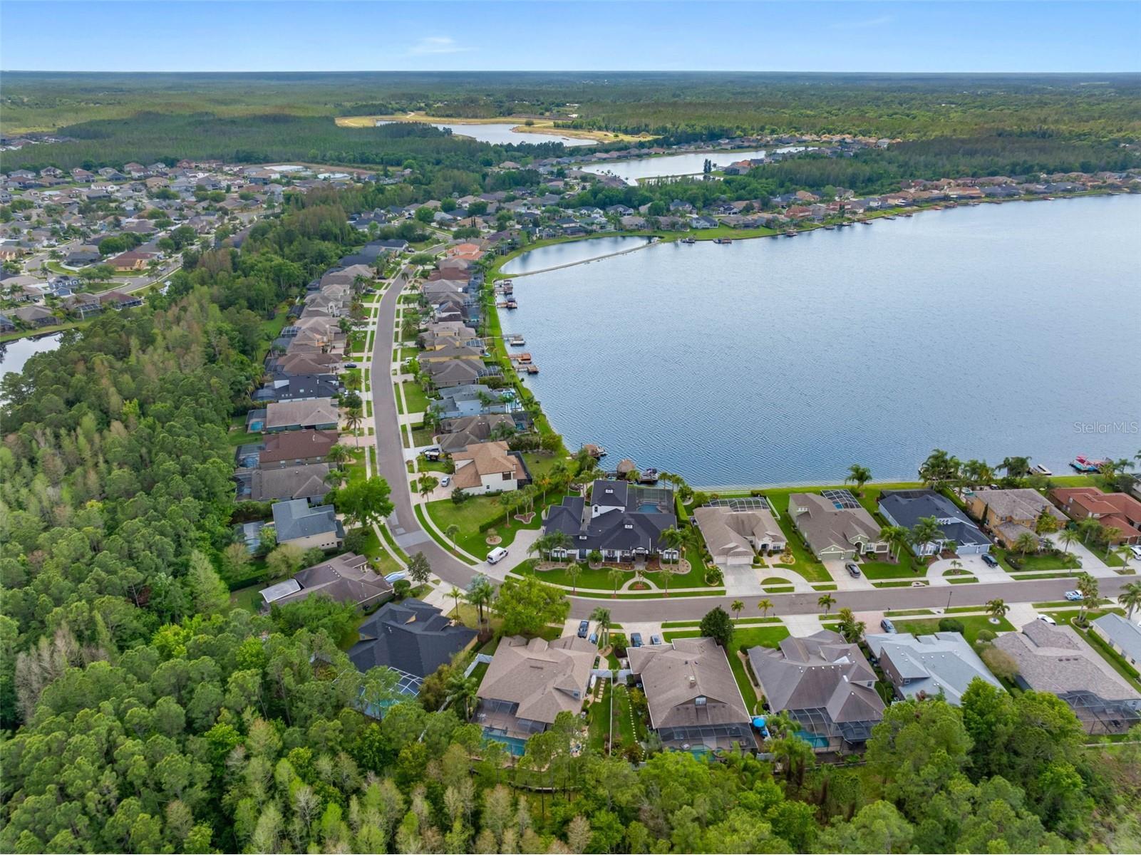 16750 Ivy Lake Drive Odessa FL 33556 TB8491529 image45
