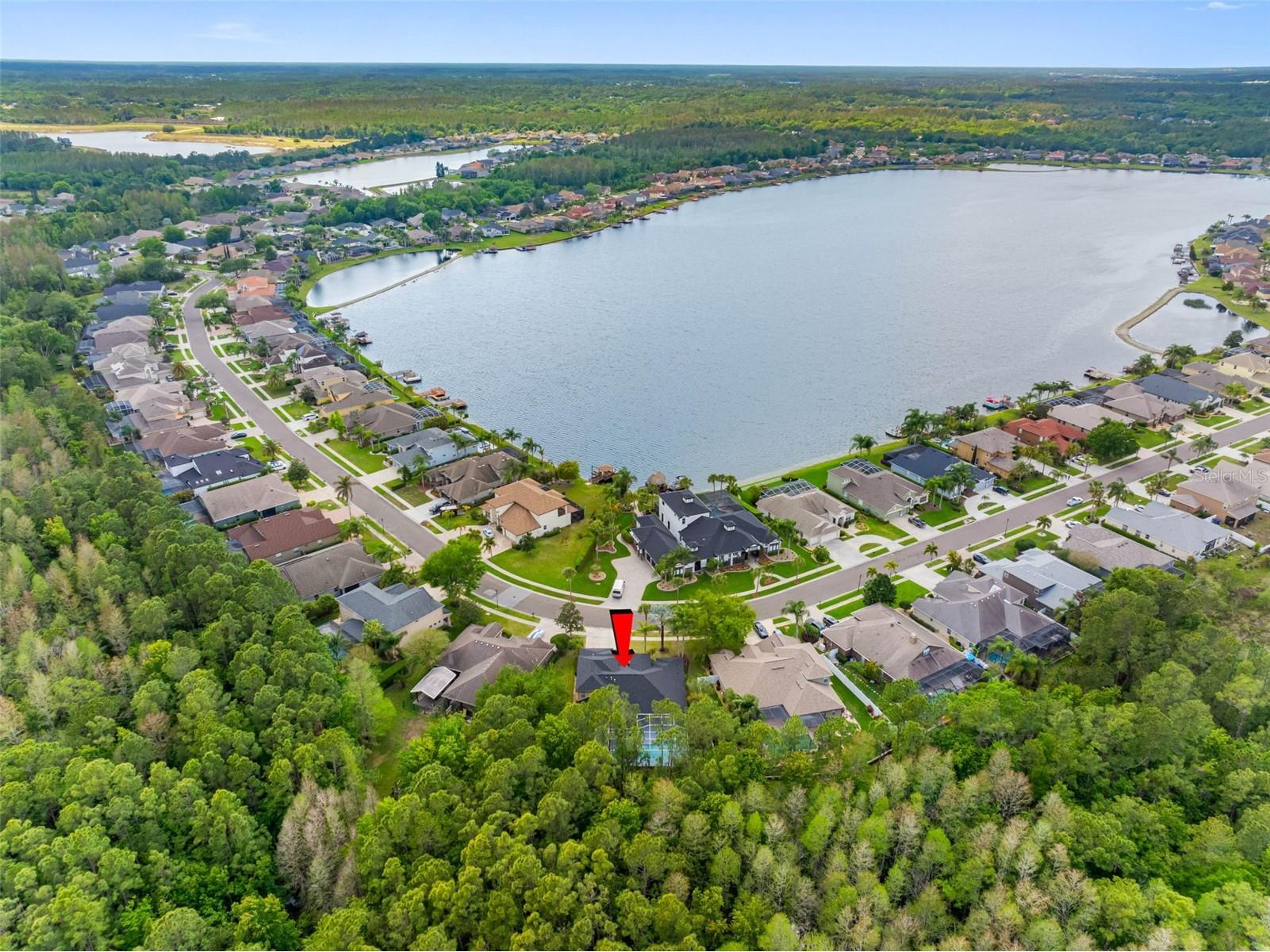16750 Ivy Lake Drive Odessa FL 33556 TB8491529 image46