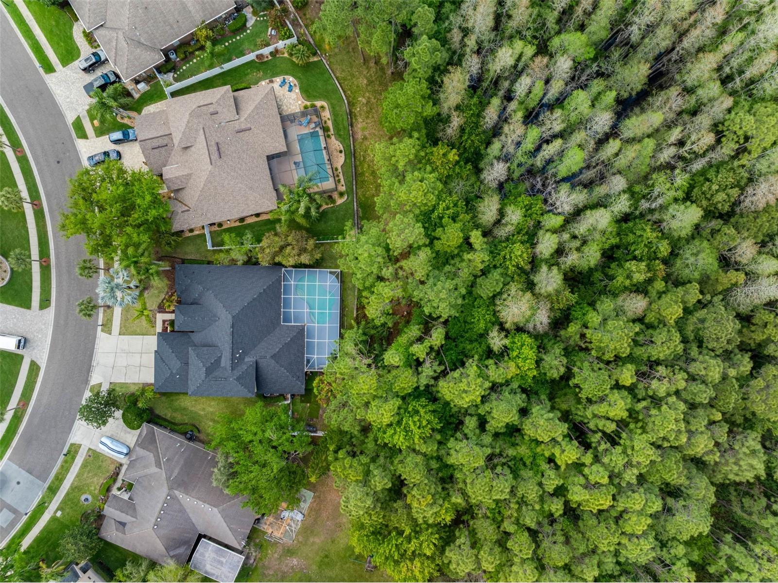 16750 Ivy Lake Drive Odessa FL 33556 TB8491529 image47