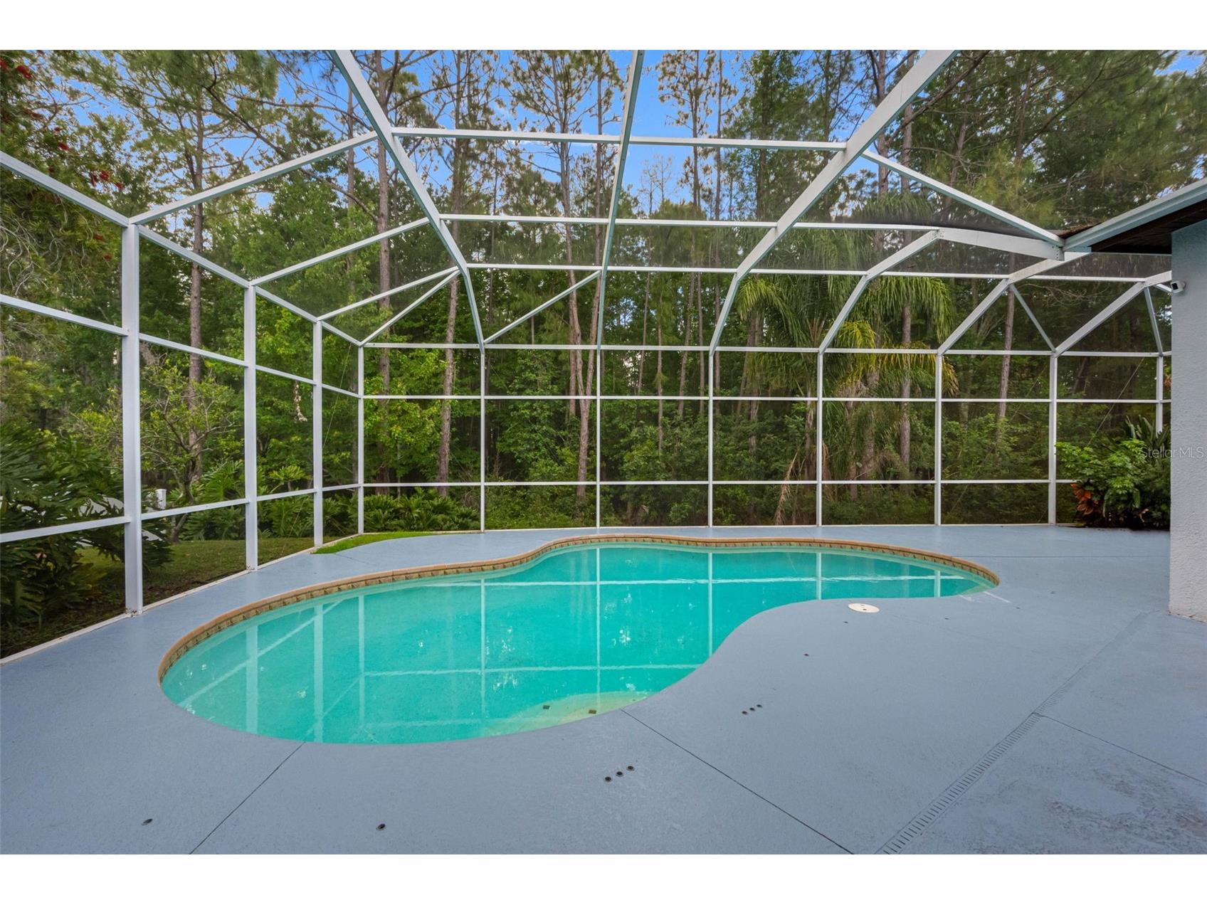 16750 Ivy Lake Drive Odessa FL 33556 TB8491529 image54