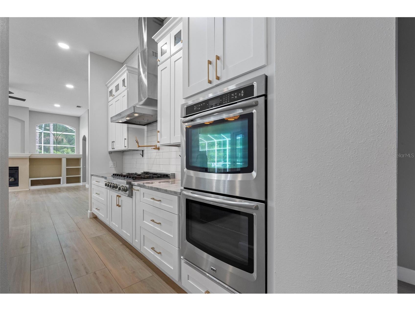 16750 Ivy Lake Drive Odessa FL 33556 TB8491529 image9