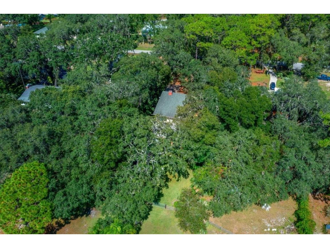 16750 SE 54th Street Ocklawaha FL 32179 OM710780 image81