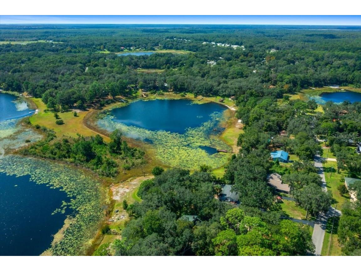 16750 SE 54th Street Ocklawaha FL 32179 OM710780 image83