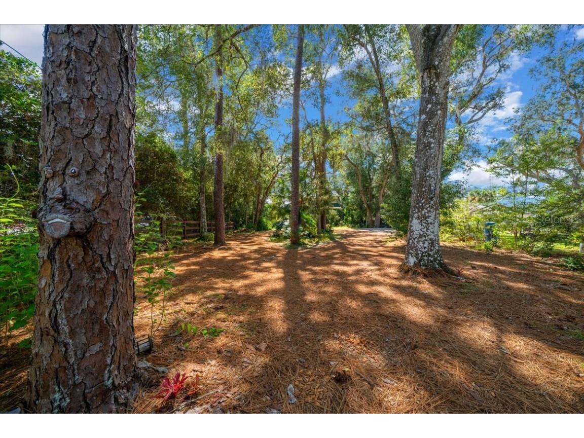 16750 SE 54th Street Ocklawaha FL 32179 OM710780 image85