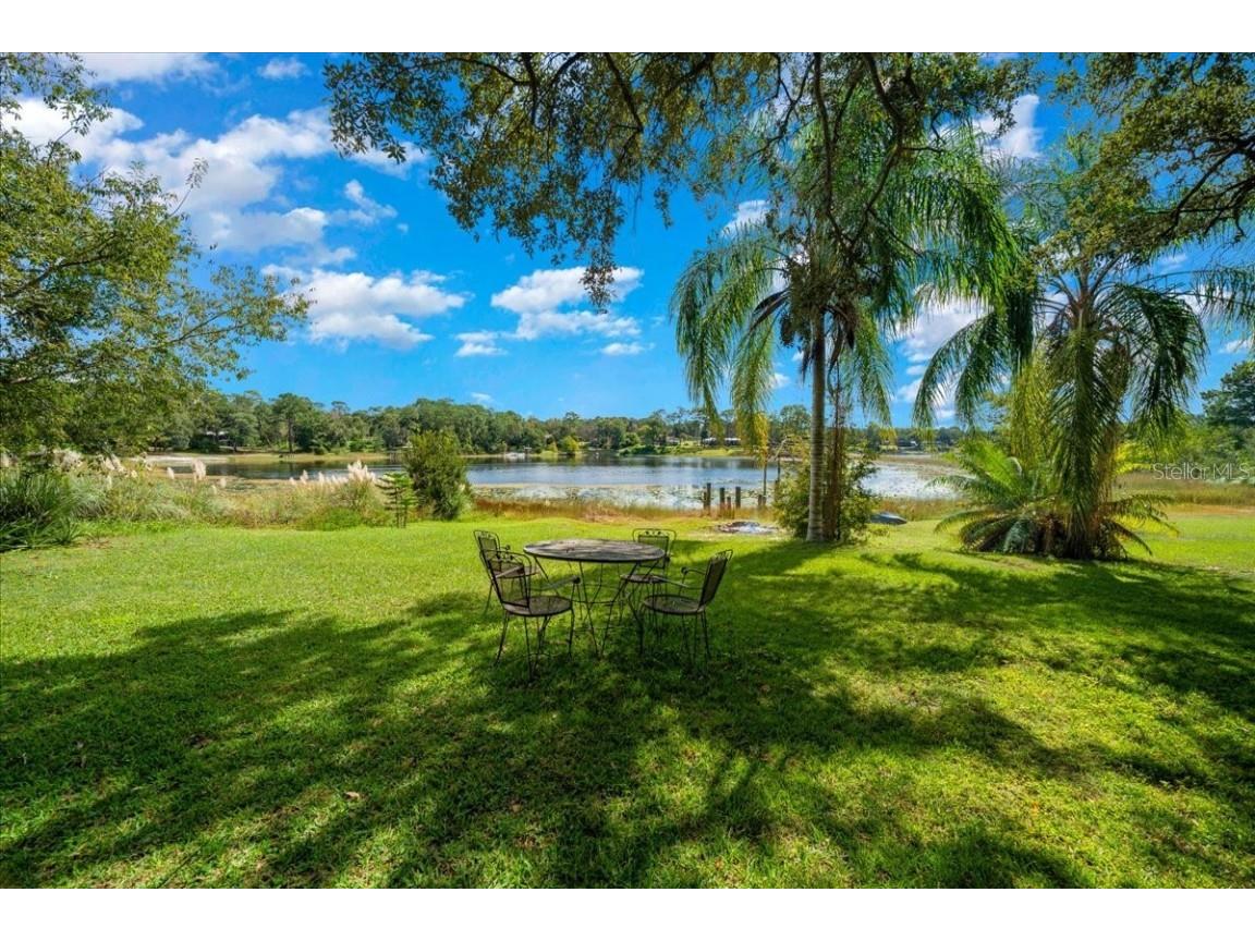 16750 SE 54th Street Ocklawaha FL 32179 OM710780 image89