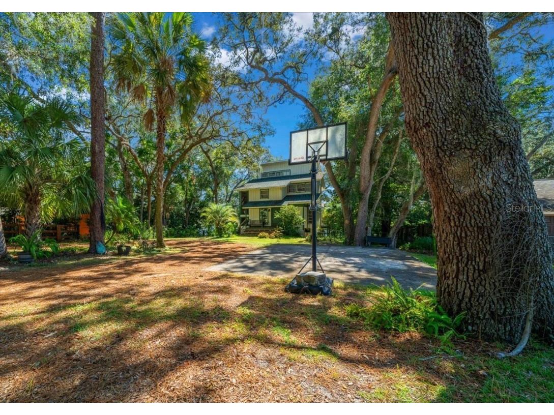 16750 SE 54th Street Ocklawaha FL 32179 OM710780 image9