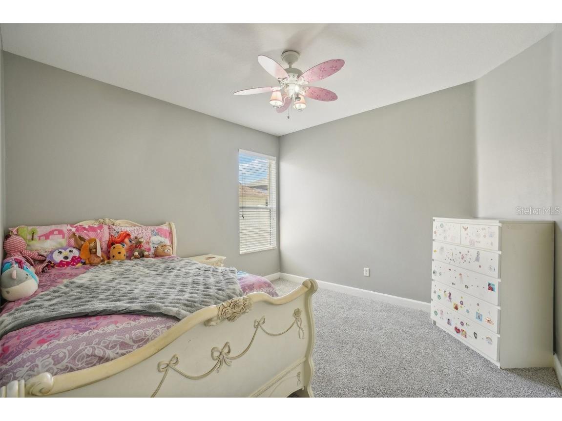 16751 Taylow Way Odessa FL 33556 TB8452980 image29