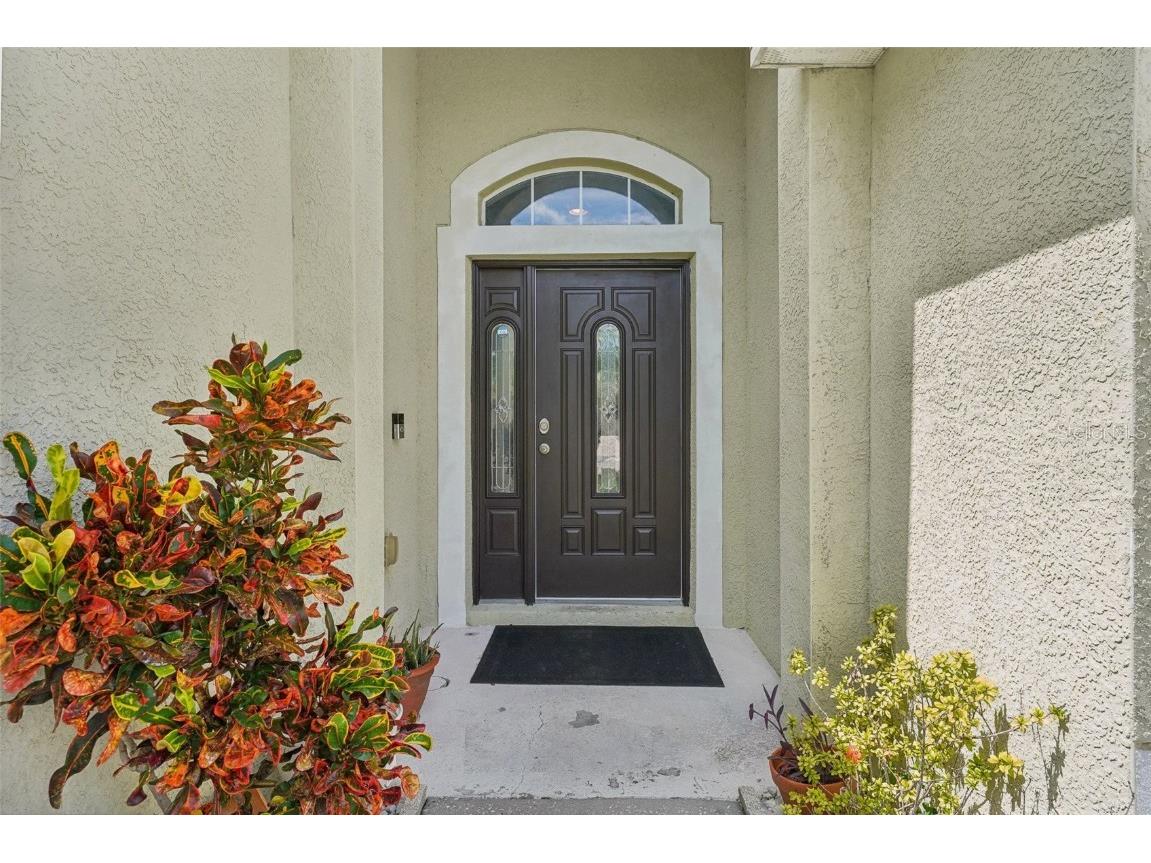 16751 Taylow Way Odessa FL 33556 TB8452980 image5