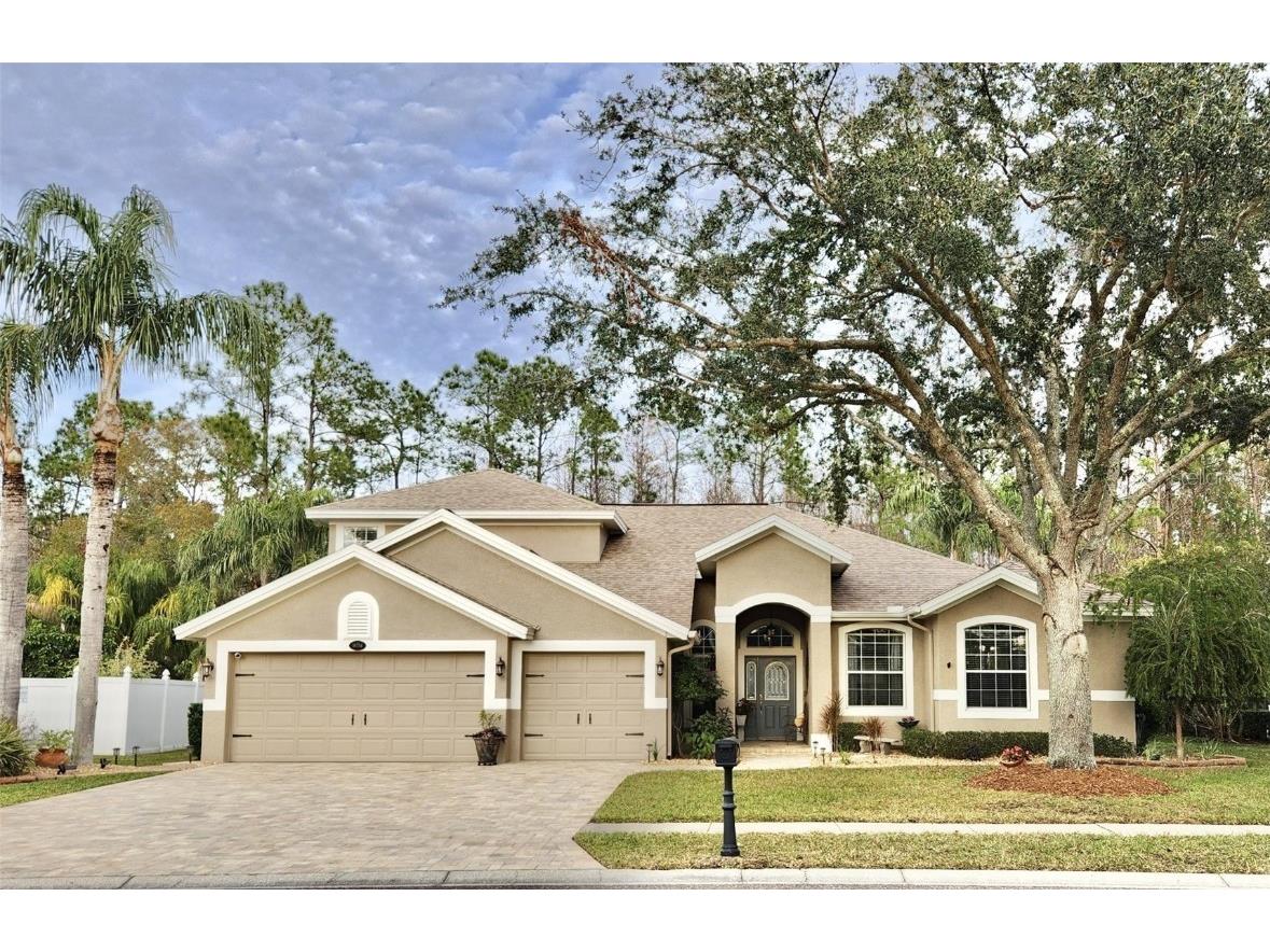 16754 Ivy Lake Drive Odessa FL 33556 TB8341348 image1