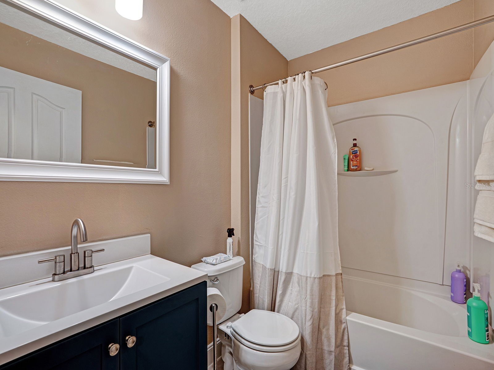 16755 Sunrise Vista Drive Clermont FL 34714 TB8514365 image49