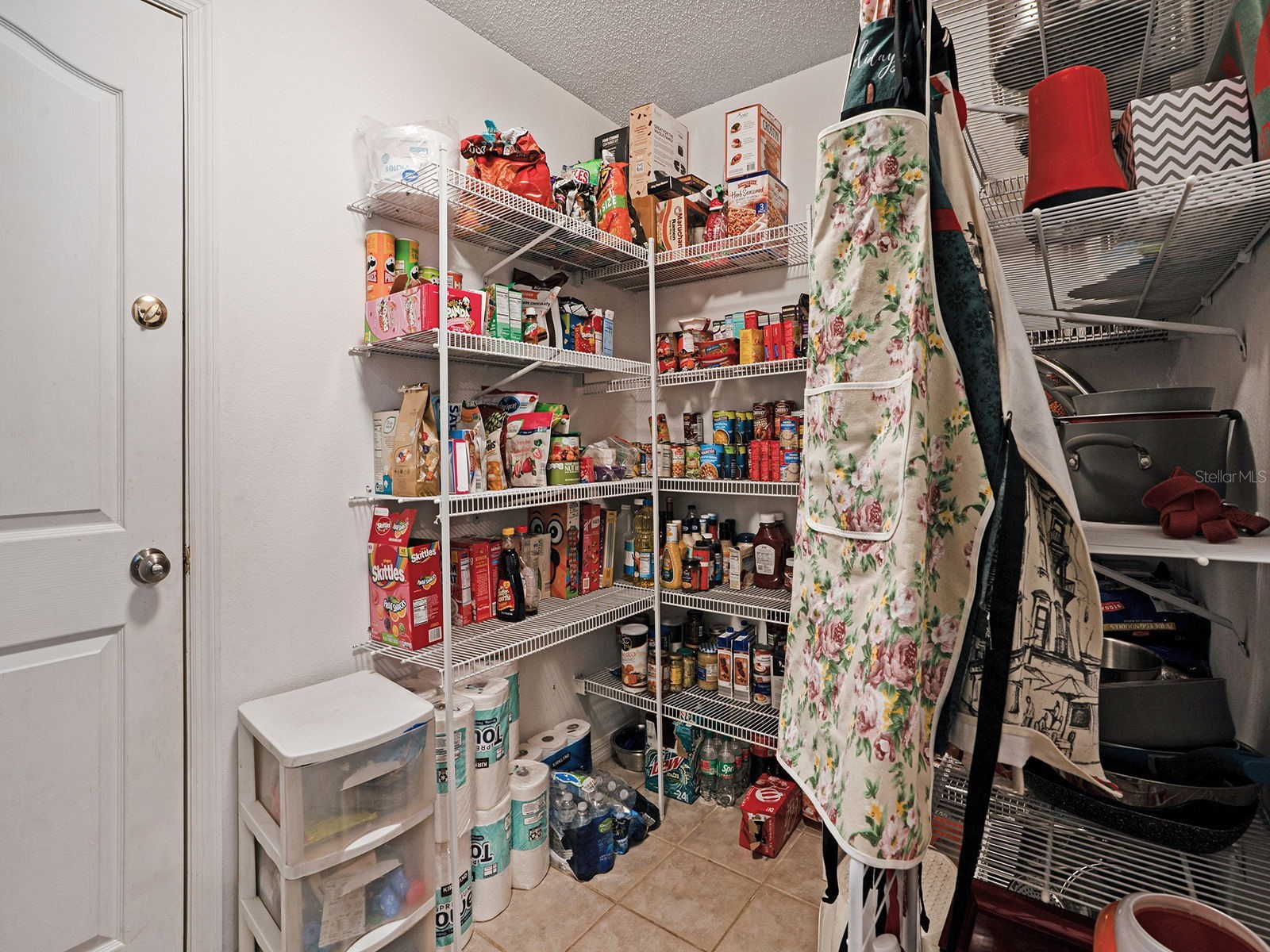 16755 Sunrise Vista Drive Clermont FL 34714 TB8514365 image50