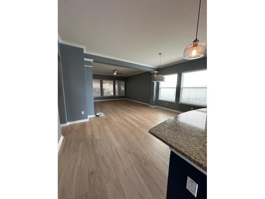 16758 Abbey Hill Court Clermont FL 34711 O6376450 image4