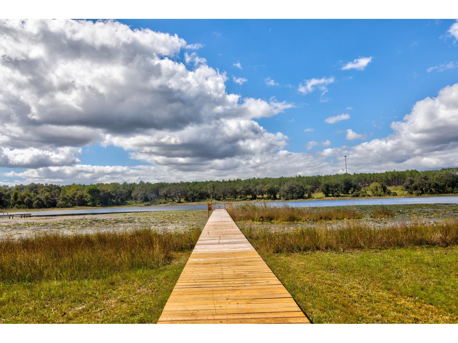 16758 SE 181st Terrace Weirsdale FL 32195 G5106593 image29