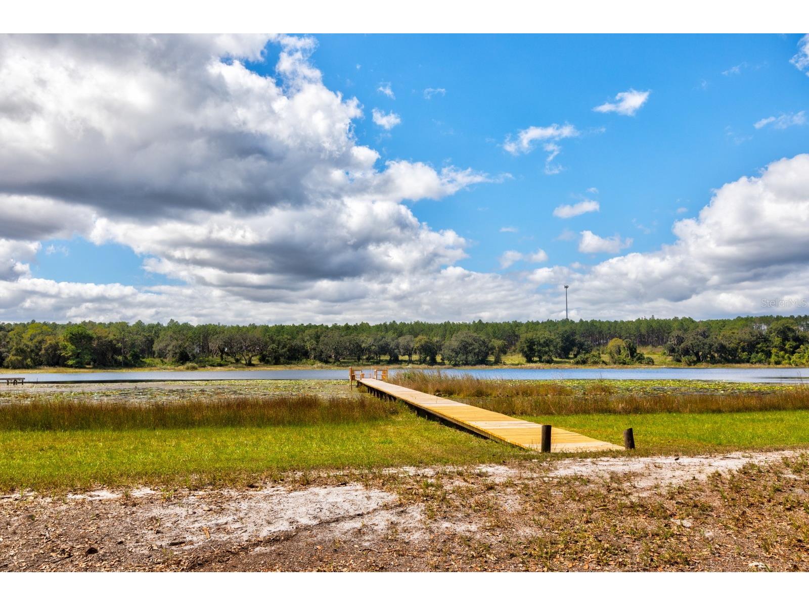 16758 SE 181st Terrace Weirsdale FL 32195 G5106593 image35