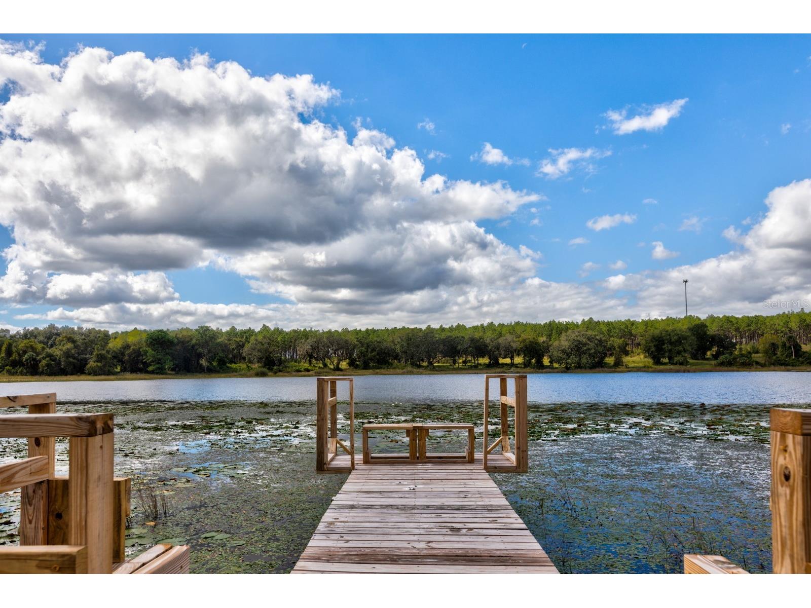 16758 SE 181st Terrace Weirsdale FL 32195 G5106593 image37