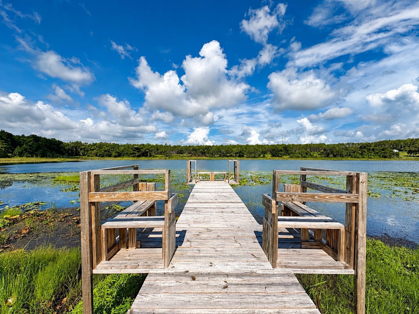 16758 SE 181st Terrace Weirsdale FL 32195 OM727952 image2