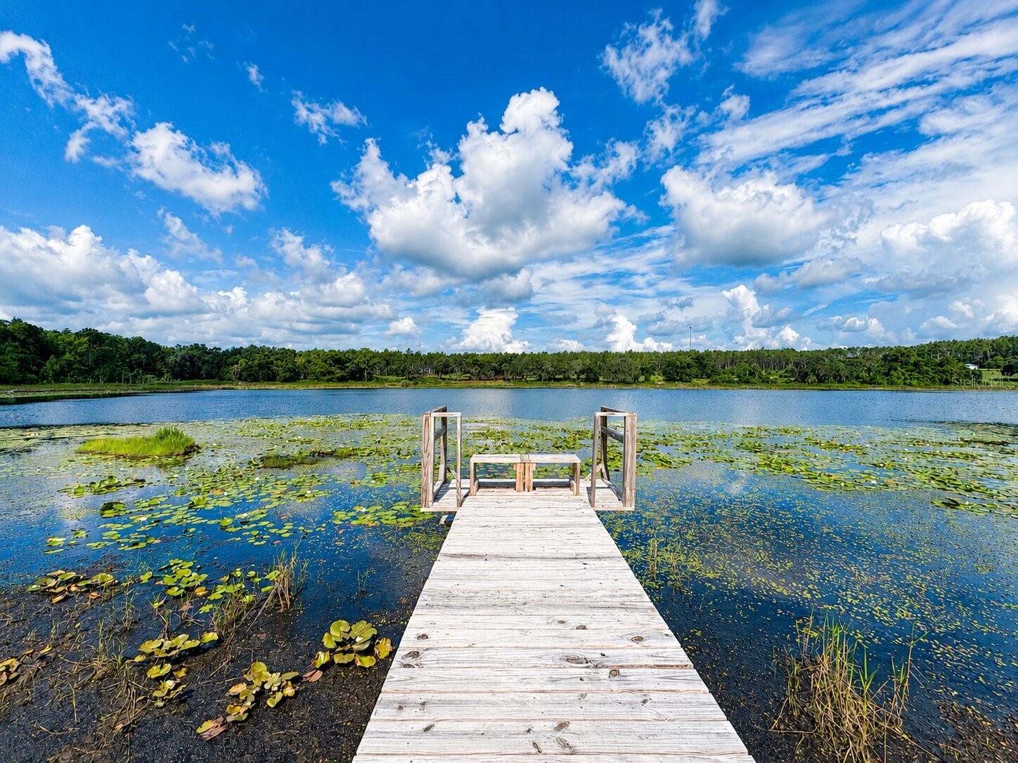 16758 SE 181st Terrace Weirsdale FL 32195 OM727952 image3