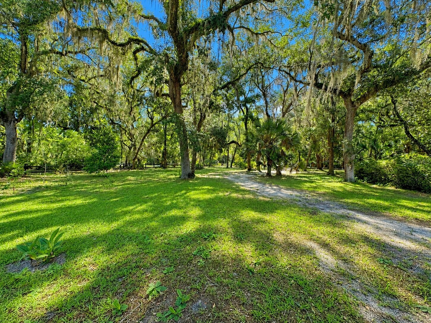 16758 SE 181st Terrace Weirsdale FL 32195 OM727952 image58