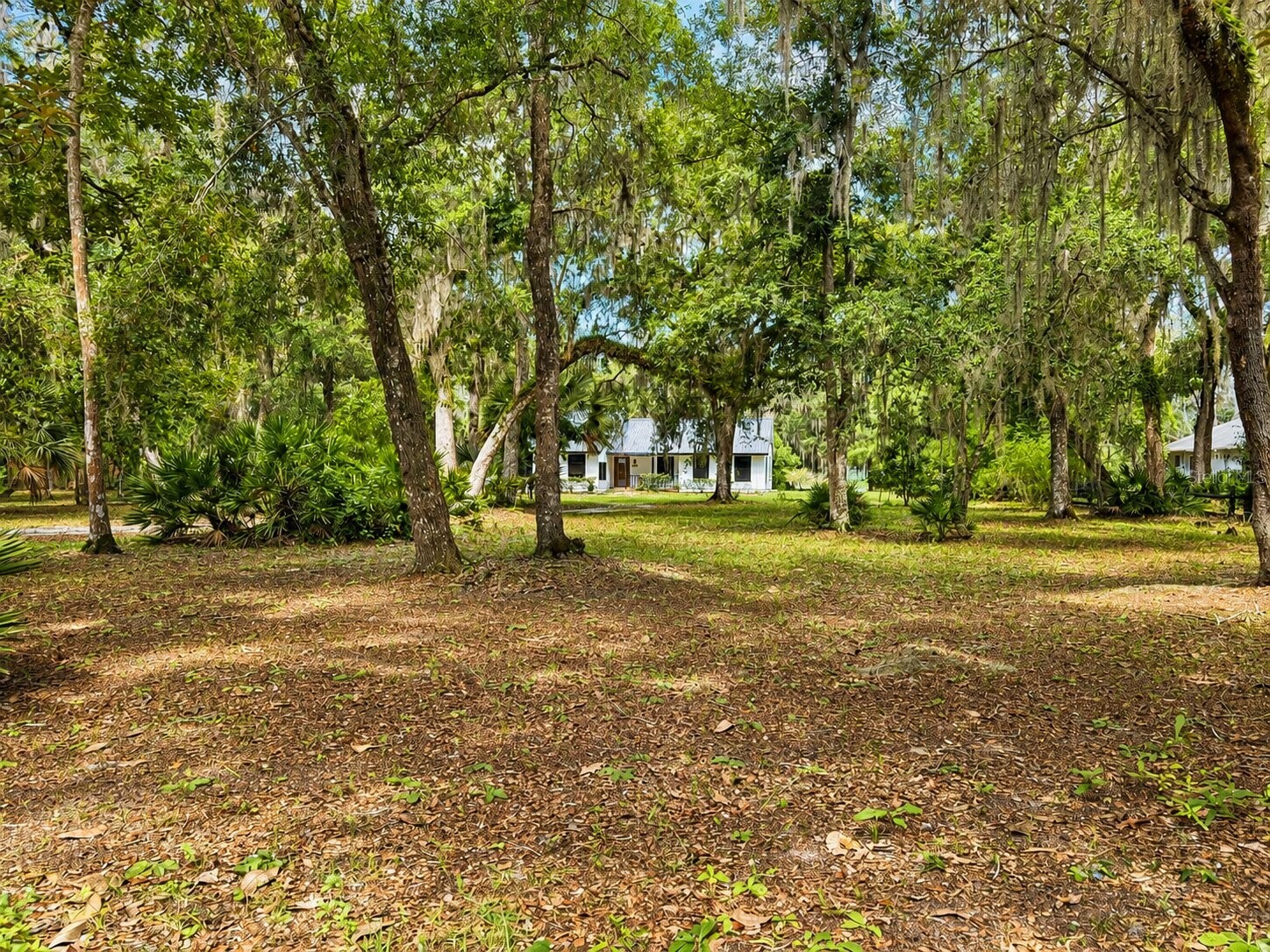 16758 SE 181st Terrace Weirsdale FL 32195 OM727952 image60