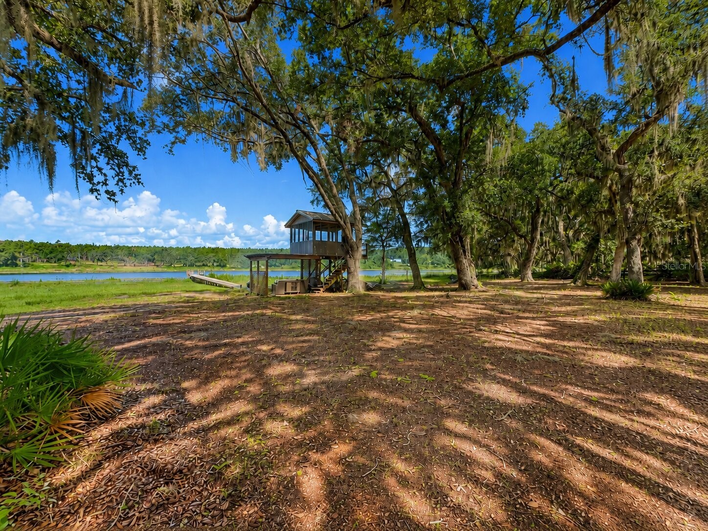 16758 SE 181st Terrace Weirsdale FL 32195 OM727952 image64