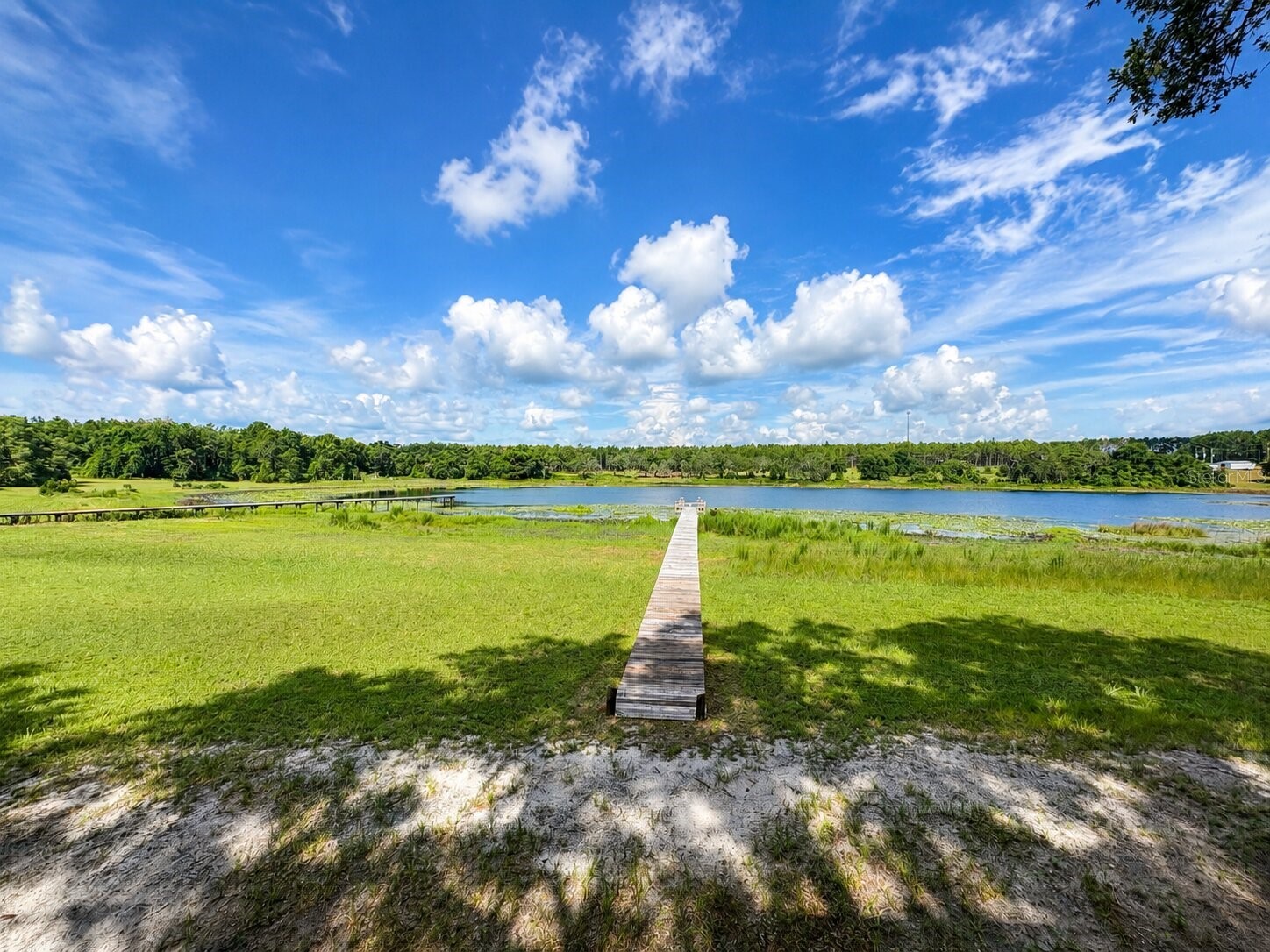 16758 SE 181st Terrace Weirsdale FL 32195 OM727952 image8